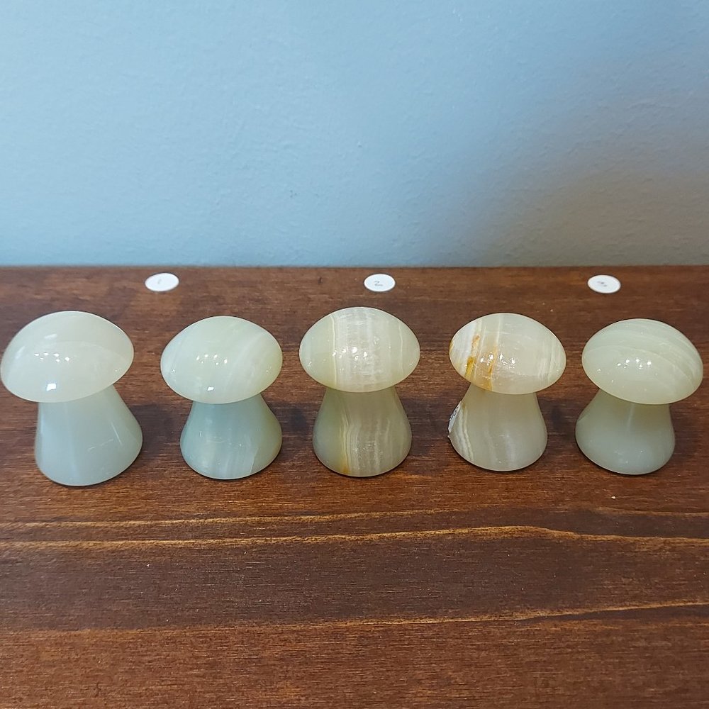 🔥 Sale 🔥Intuitively Selected Green Onyx Large Mushrooms